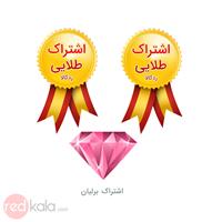 یک عدد اشتراک برلیان + دو عدد اشتراک طلایی